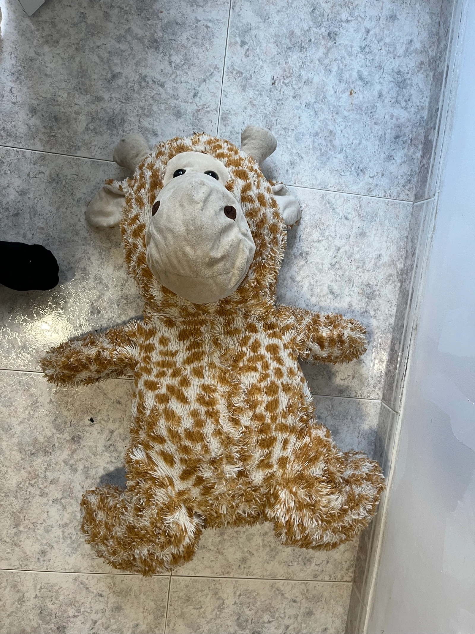 Peluches Osos grandes